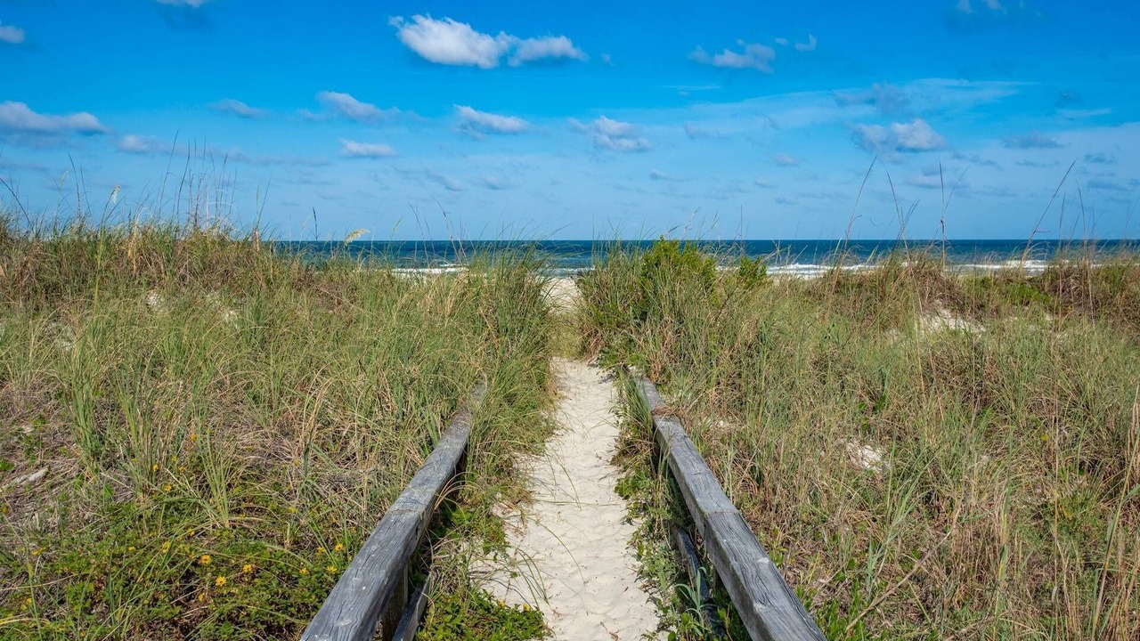 Photo of Others in St. Augustine Beach