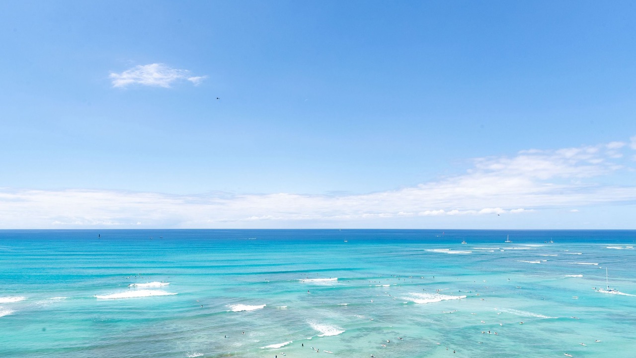 Photo of Others in Waikiki