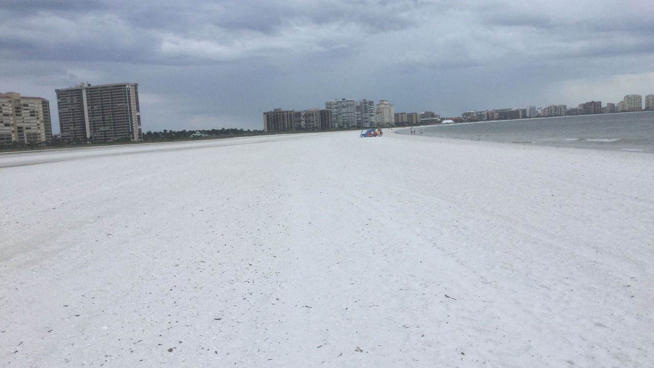 Photo of Others in Marco Island