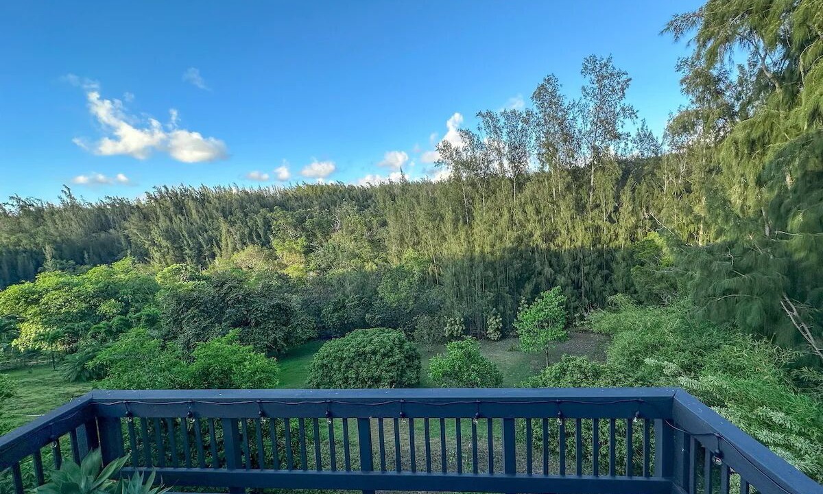 Photo of Outdoor in Pupukea