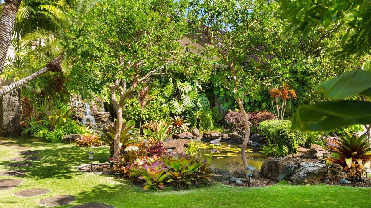 Photo of Outdoor in Kahala