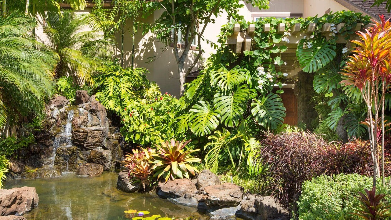 Photo of Outdoor in Kahala