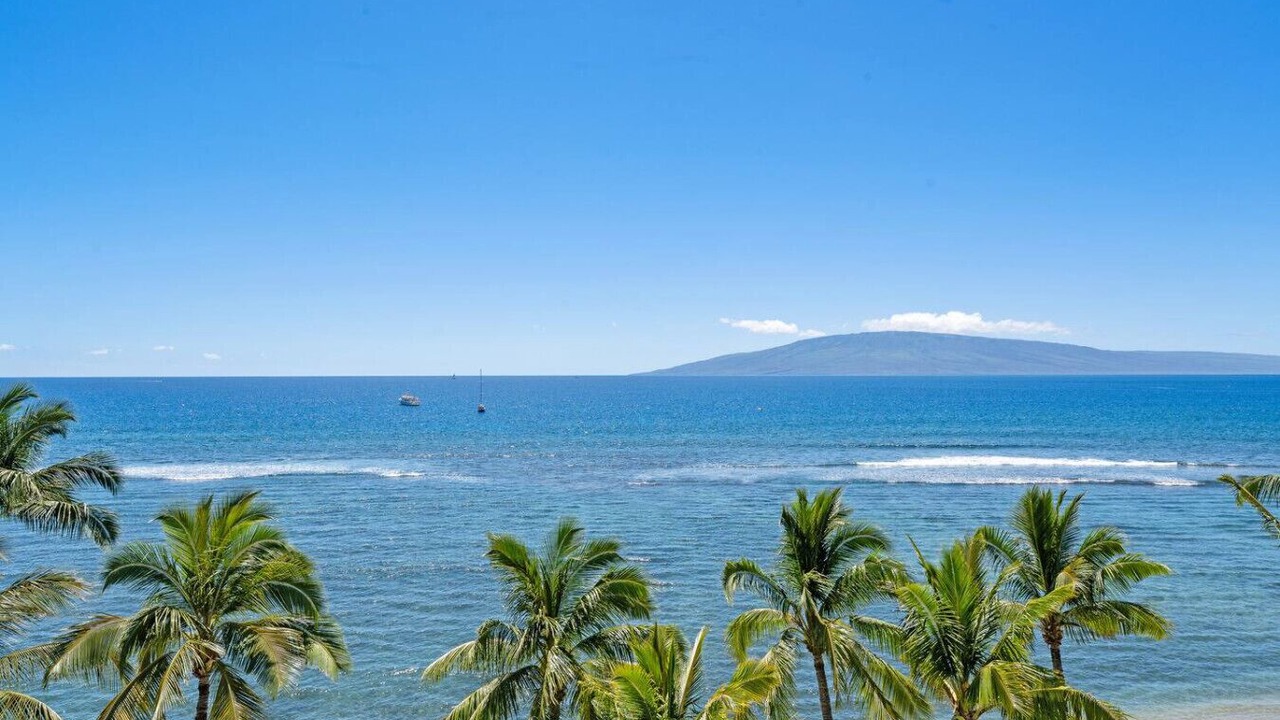 Photo of Others in Historic Lahaina Front Street