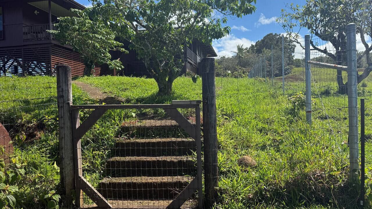 Photo of Outdoor in Ninole