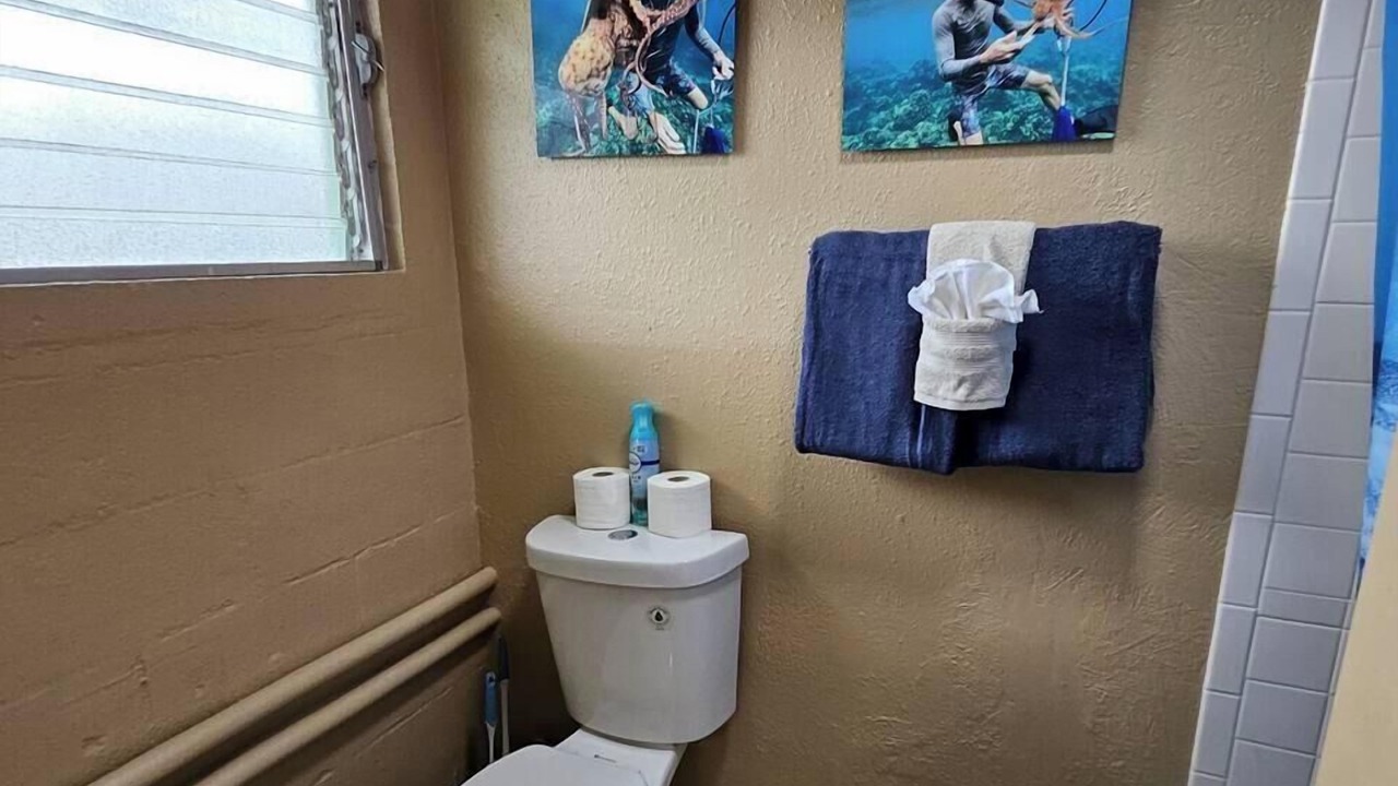 Photo of Bathroom in Keaukaha
