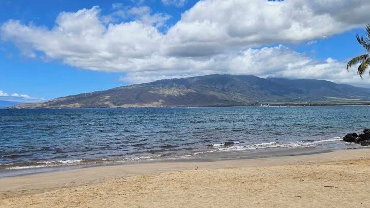 Photo of Others in Kihei