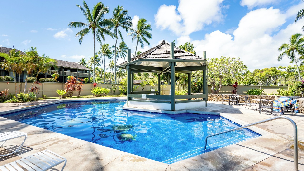 Photo of Outdoor in Kahuku