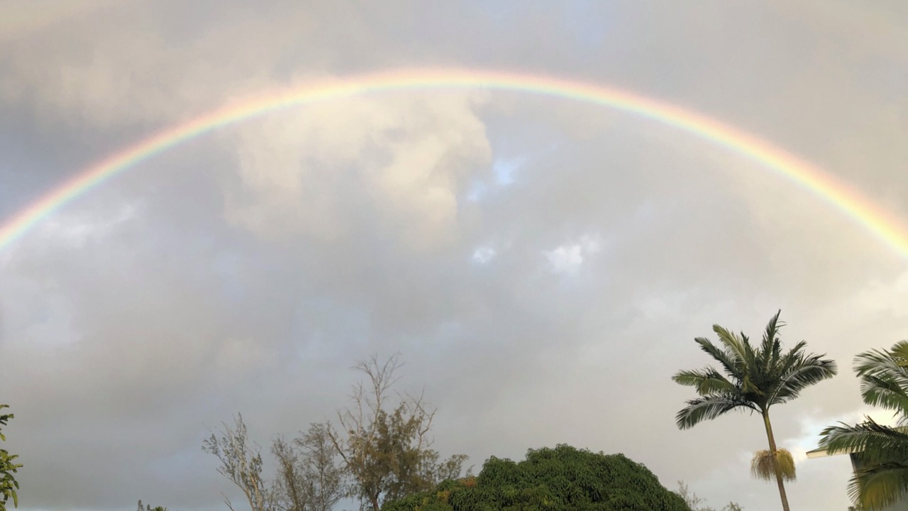 Photo of Others in Honokaa