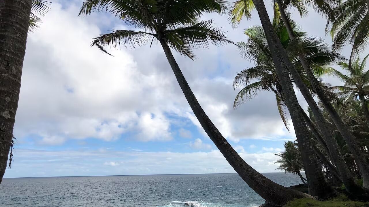 Photo of Others in Puna Palisades