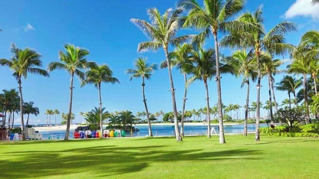 Photo of Others in Waikiki