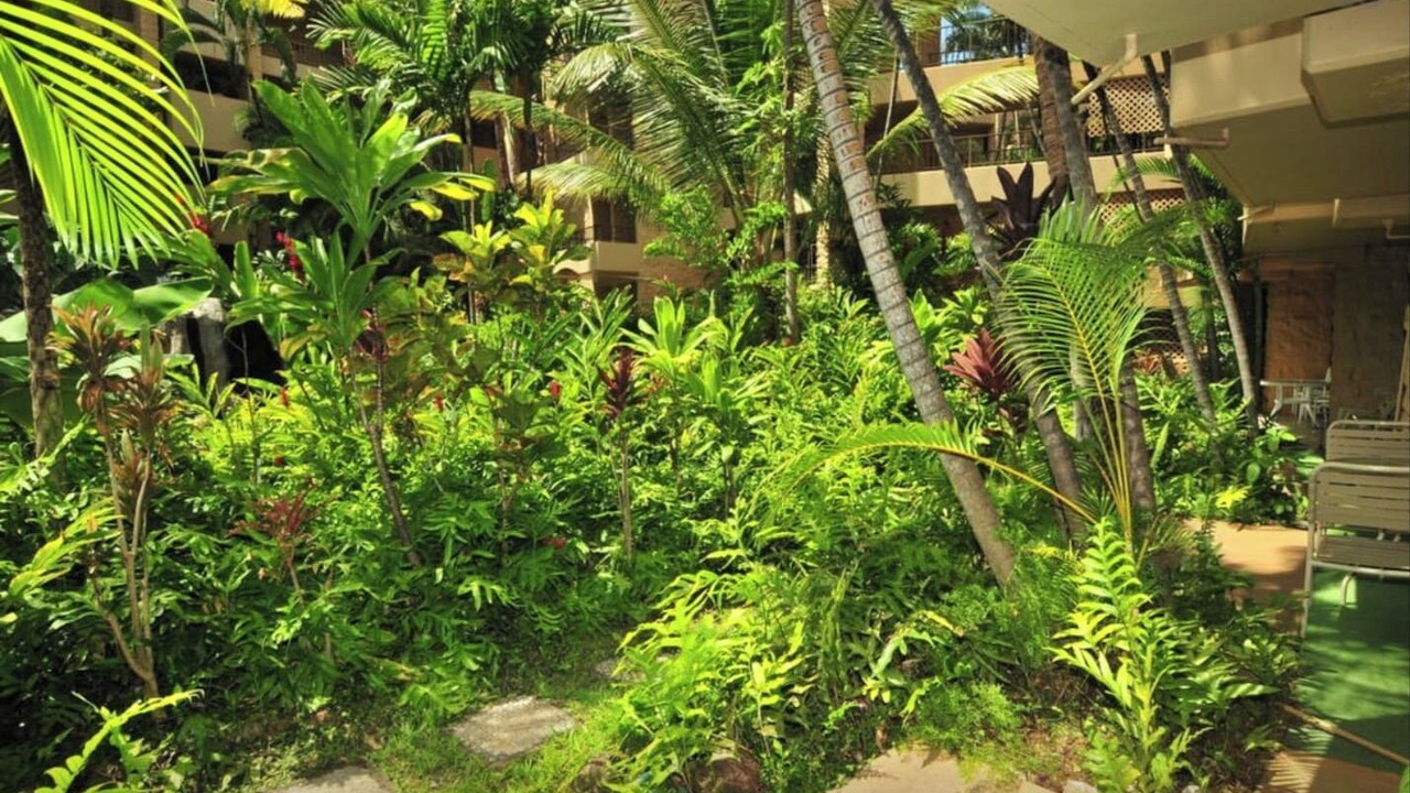 Photo of Outdoor in Honokowai