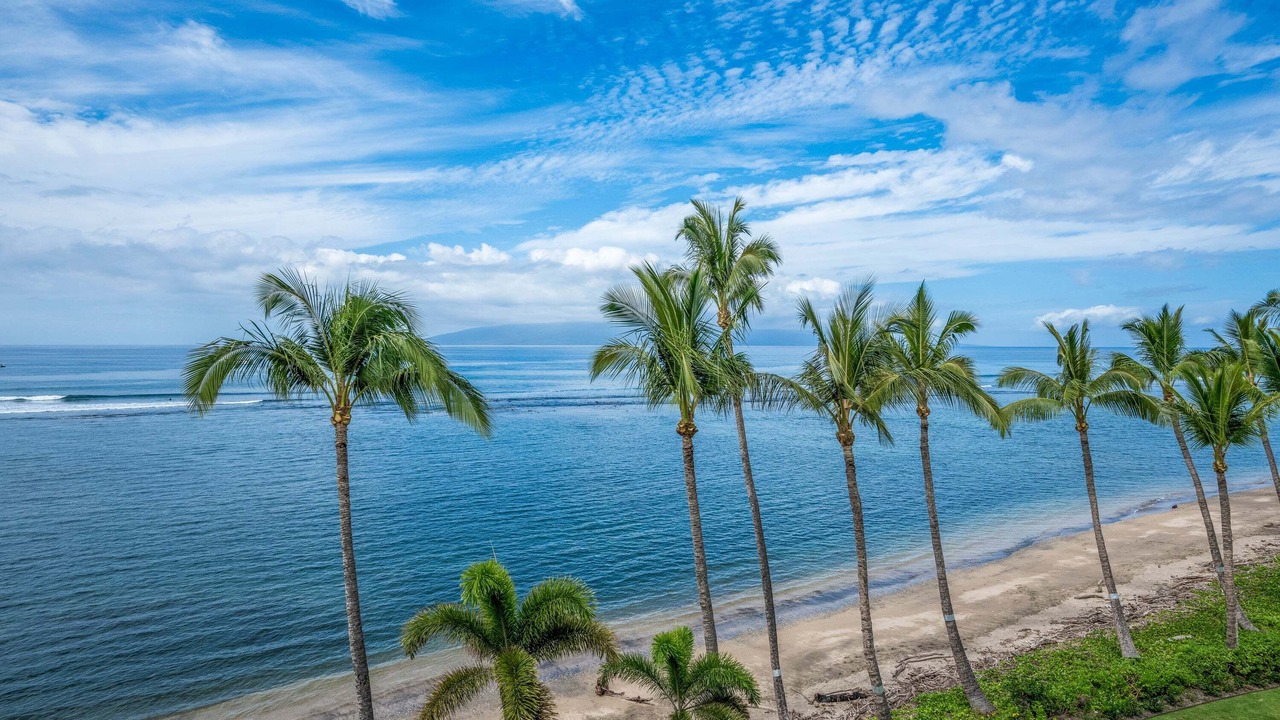 Photo of Others in Historic Lahaina Front Street