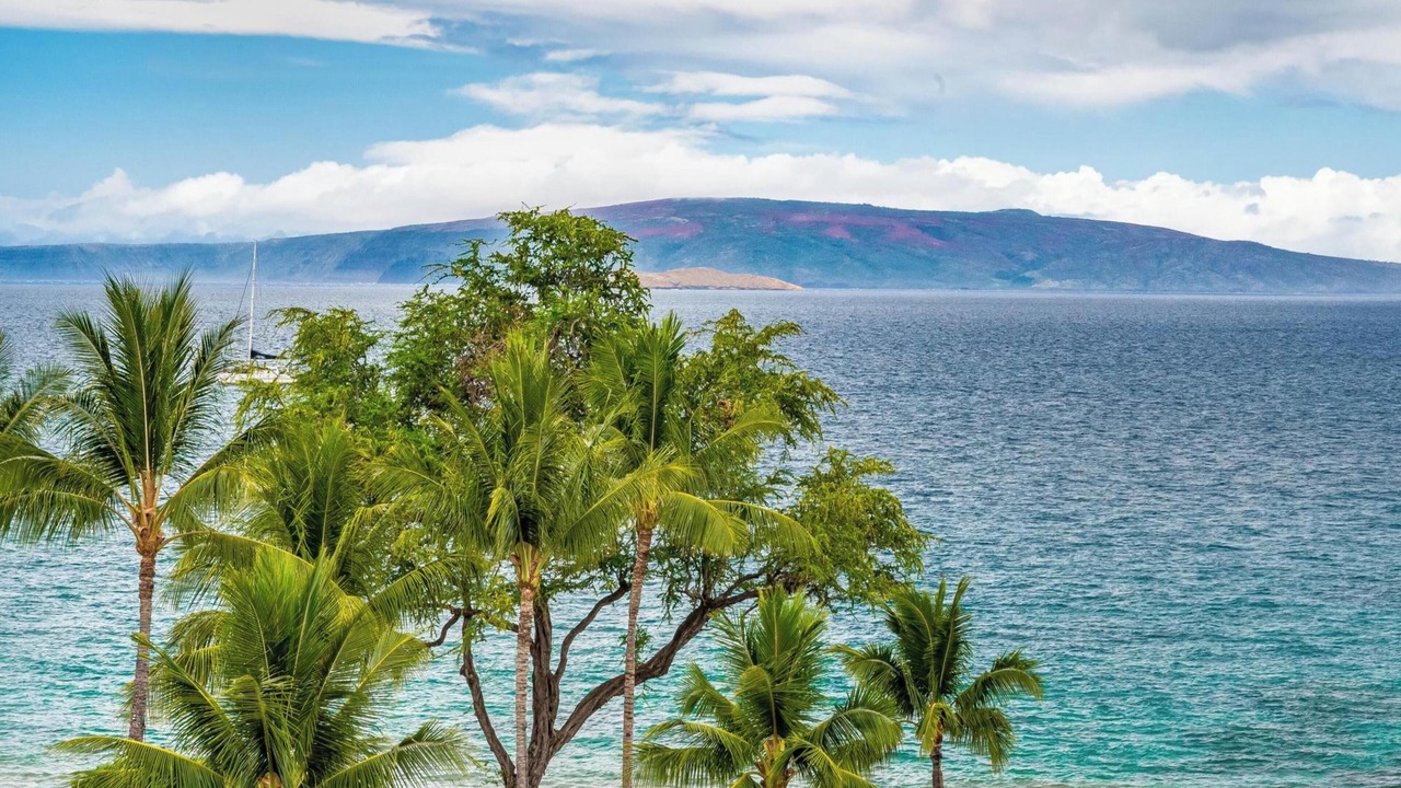 Photo of Others in Wailea