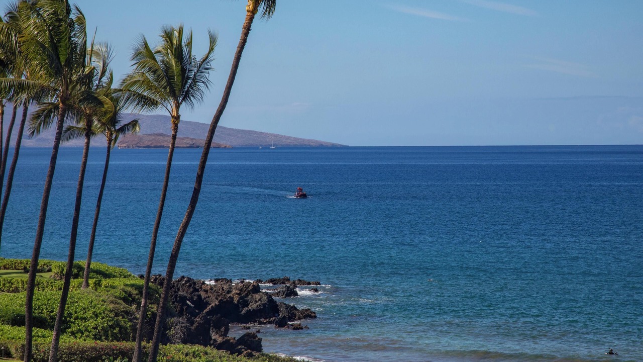 Photo of Others in Wailea