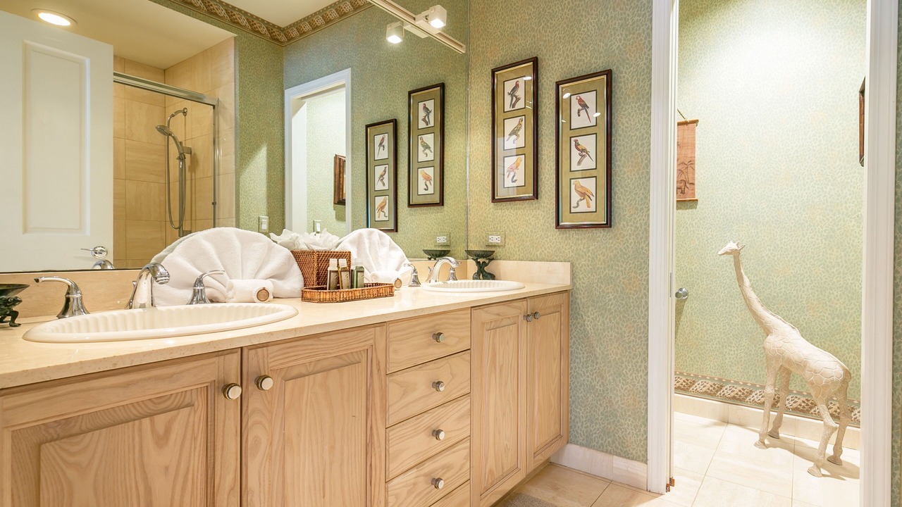 Photo of Bathroom in Wailea