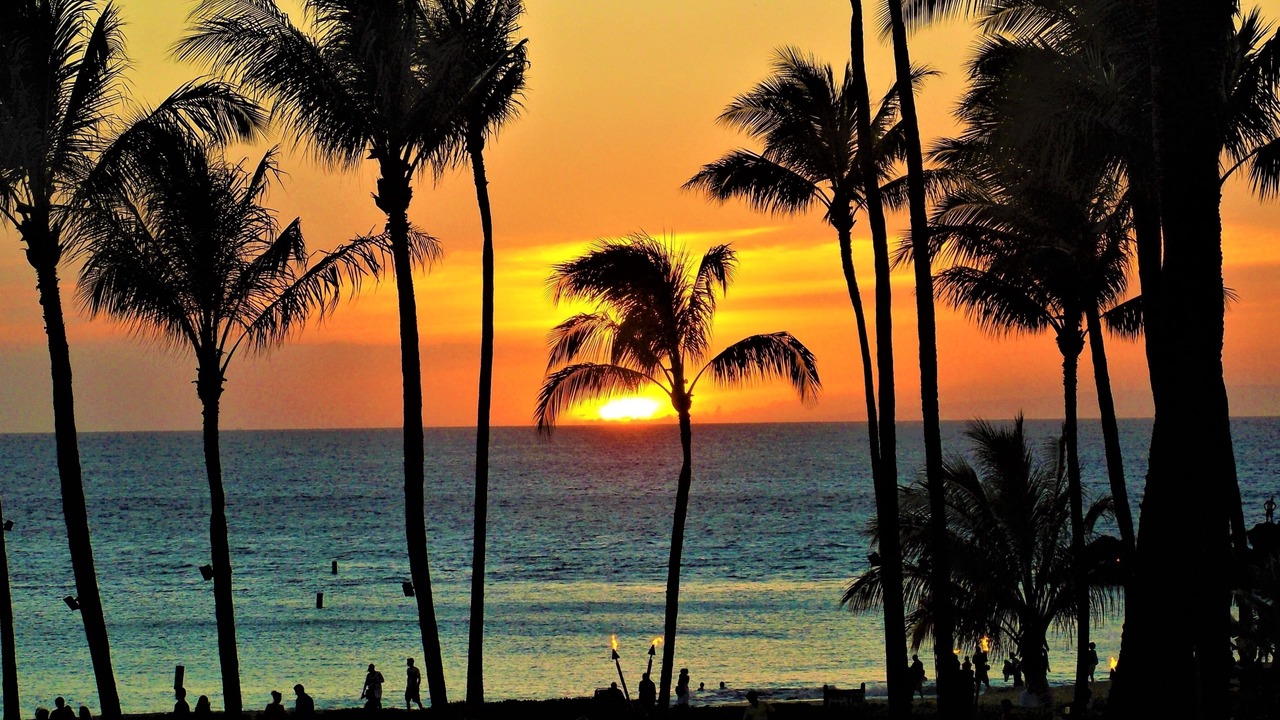 Photo of Others in Wailea