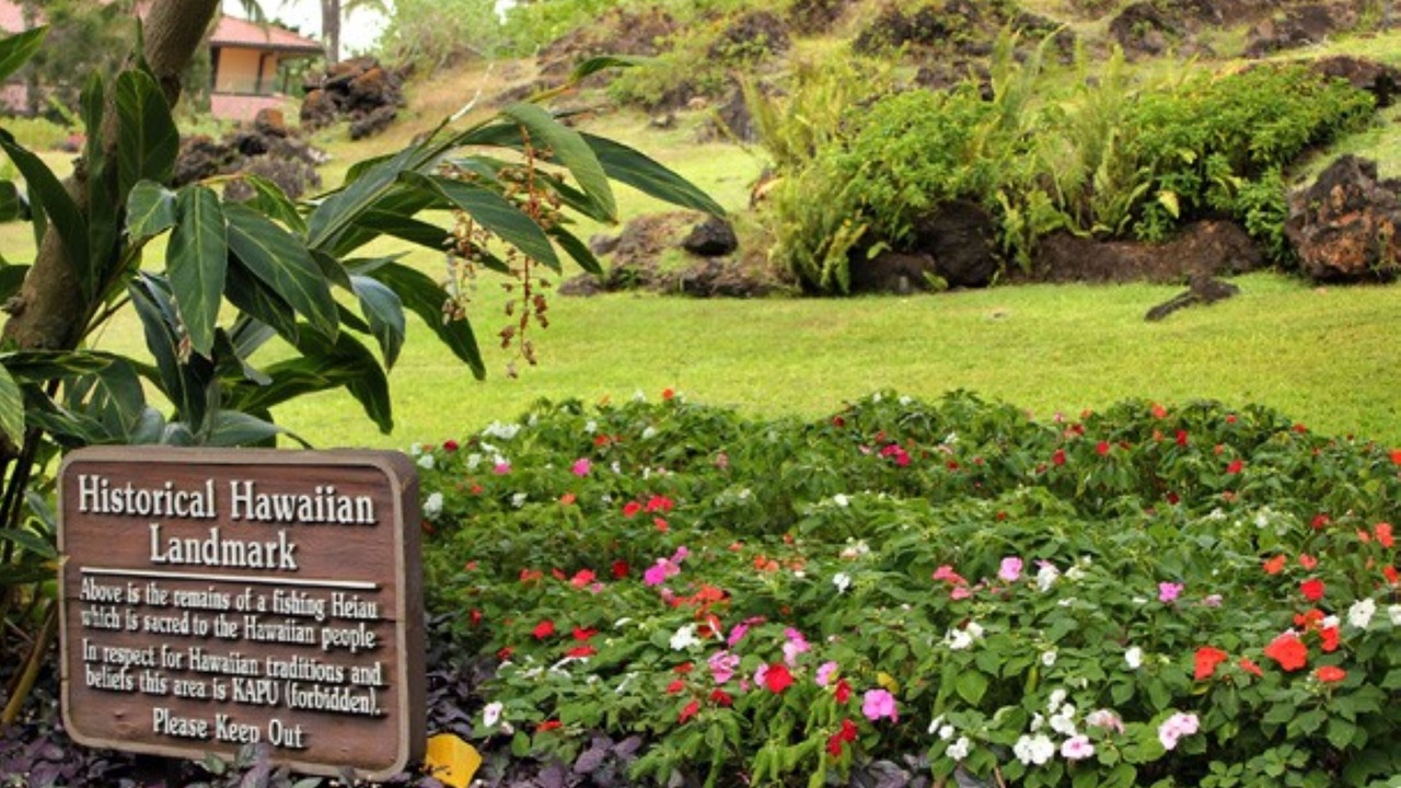 Photo of Others in Wailea