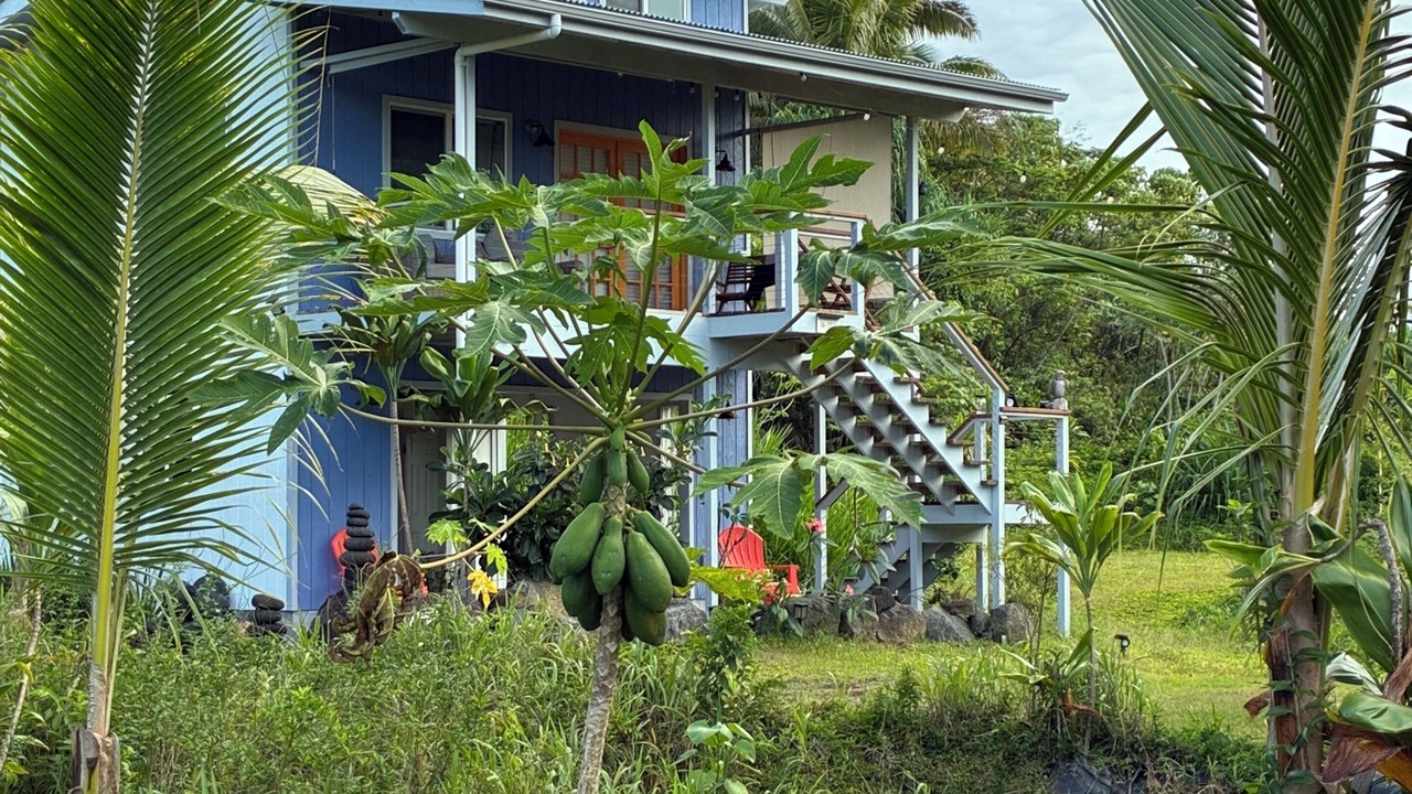 Photo of Outdoor in Waa Waa