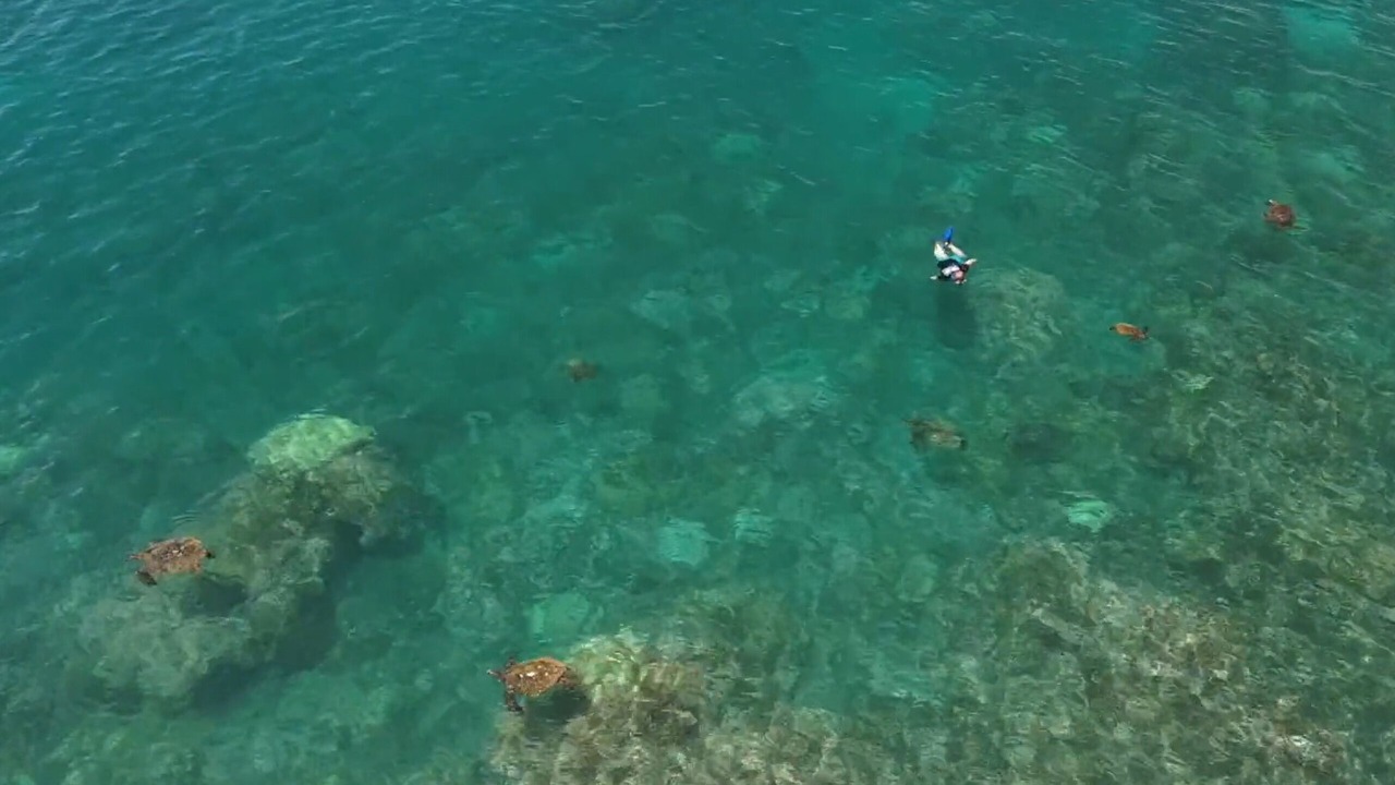 Photo of Others in Napili