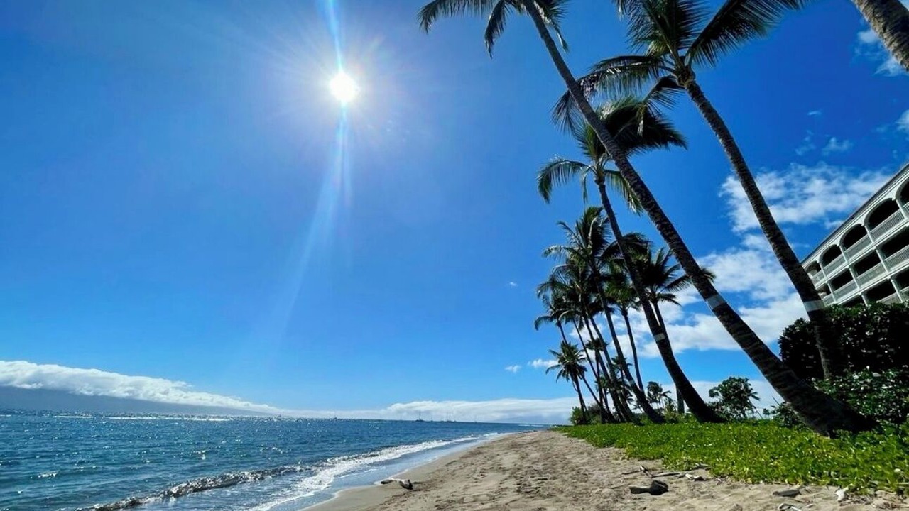 Photo of Others in Historic Lahaina Front Street