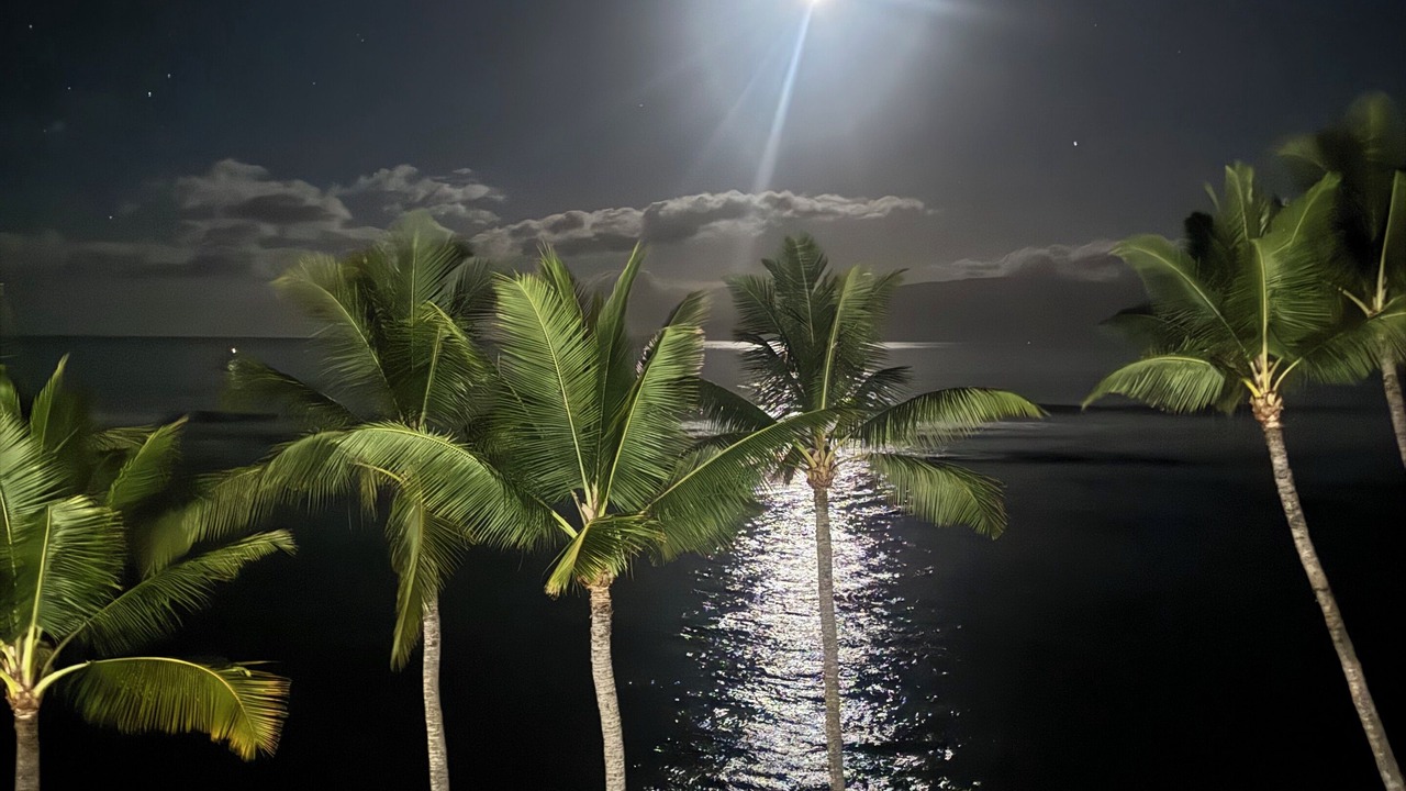 Photo of Others in Historic Lahaina Front Street