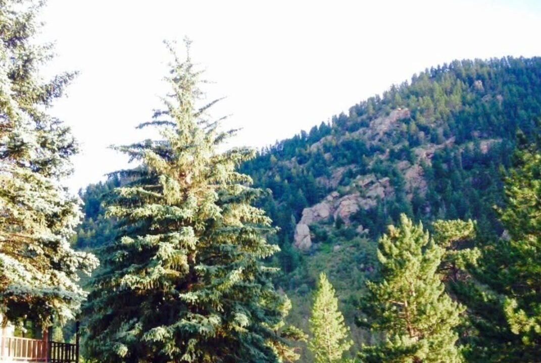 Photo of Outdoor in Drake