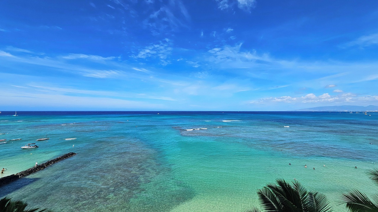 Photo of Others in Diamond Head - Kapahulu - St. Louis