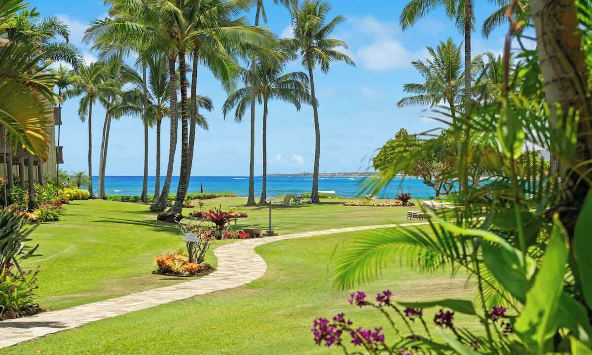 Photo of Outdoor in Wailua