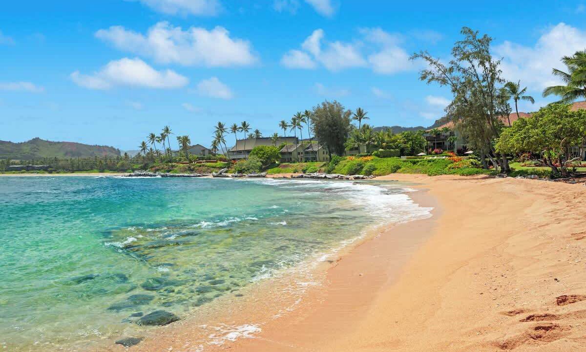Photo of Others in Wailua