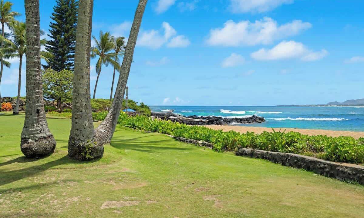Photo of Others in Wailua