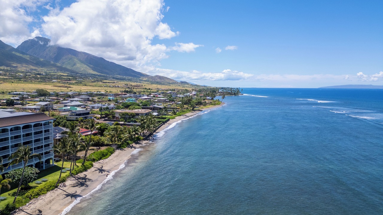 Photo of Others in Historic Lahaina Front Street
