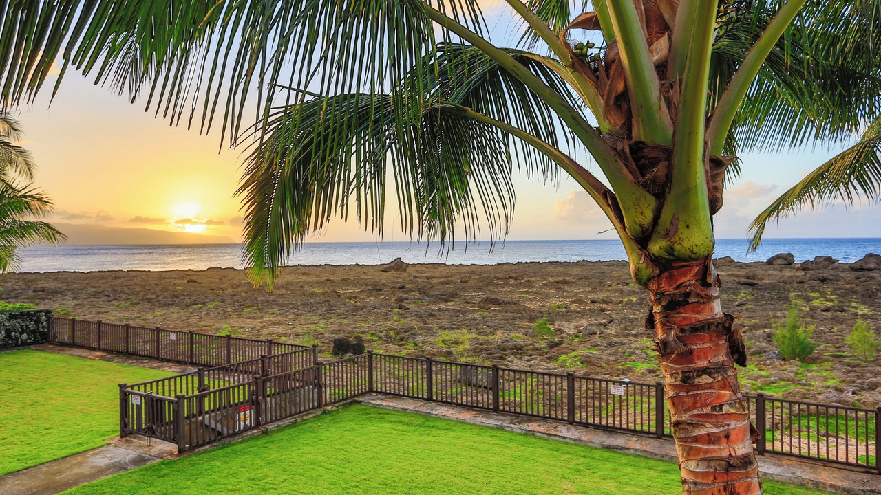 Photo of Outdoor in Pupukea