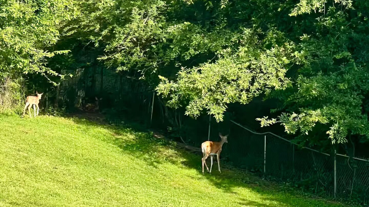 Photo of Others in Clarksville