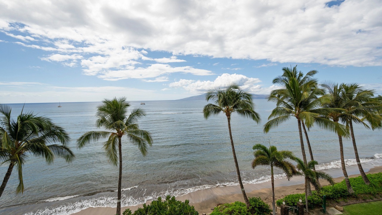 Photo of Others in Historic Lahaina Front Street