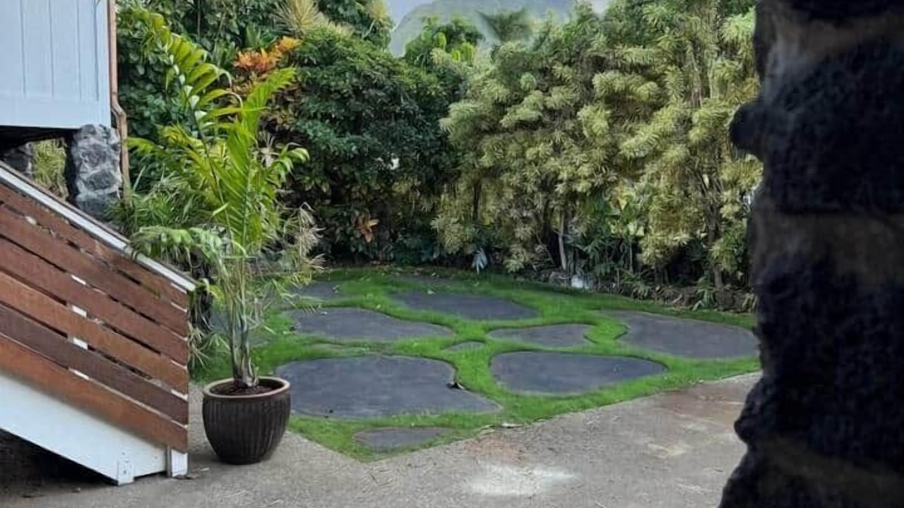 Photo of Outdoor in Hanalei