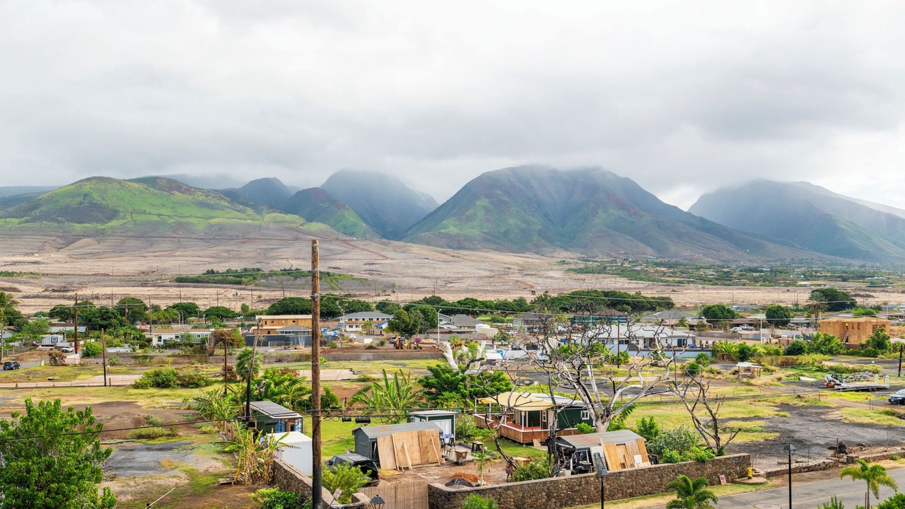 Photo of Others in Historic Lahaina Front Street