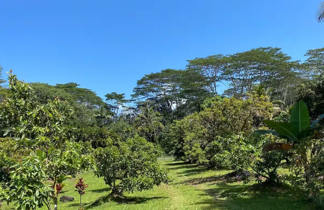 Photo of Outdoor in Keaau
