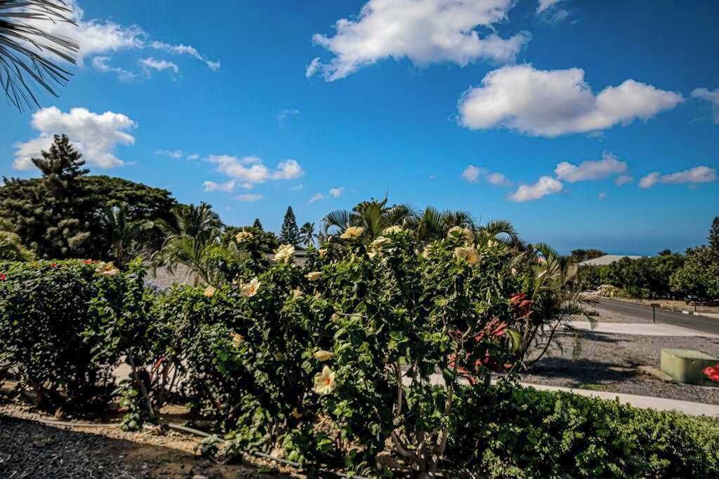 Photo of Outdoor in Waikoloa