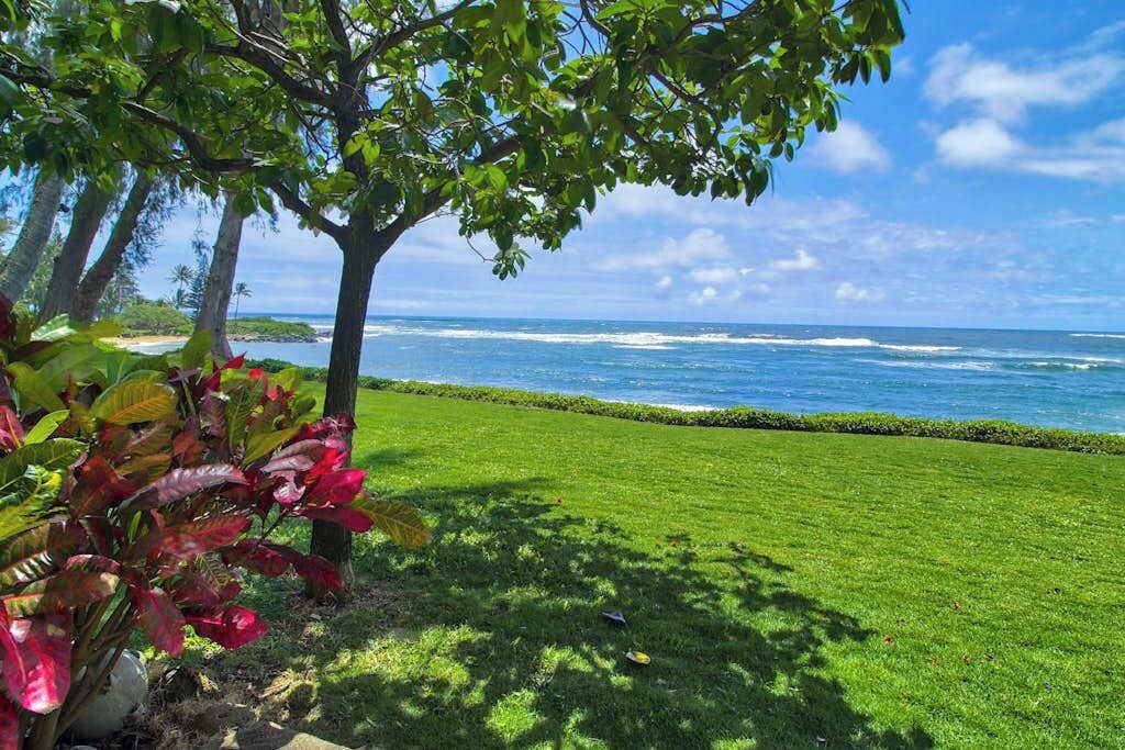 Photo of Others in Wailua House Lots