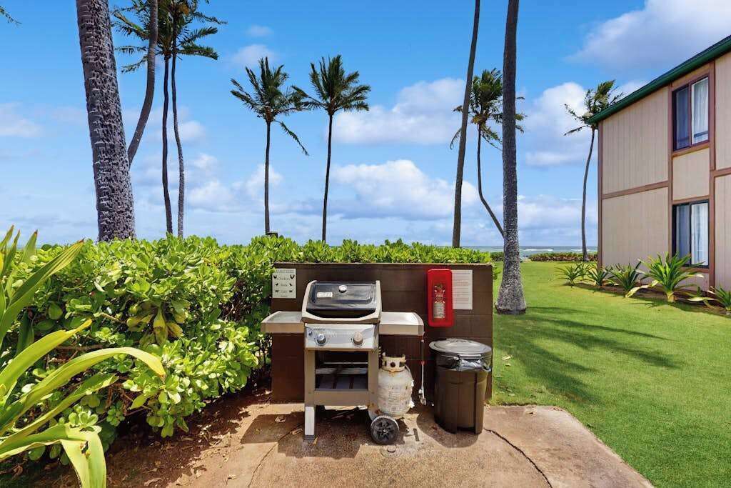 Photo of Outdoor in Kapaa