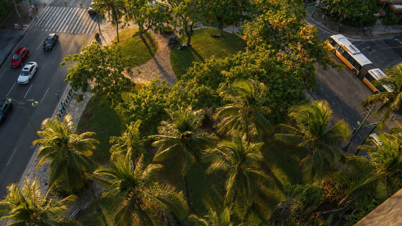 Photo of Outdoor in Waikiki