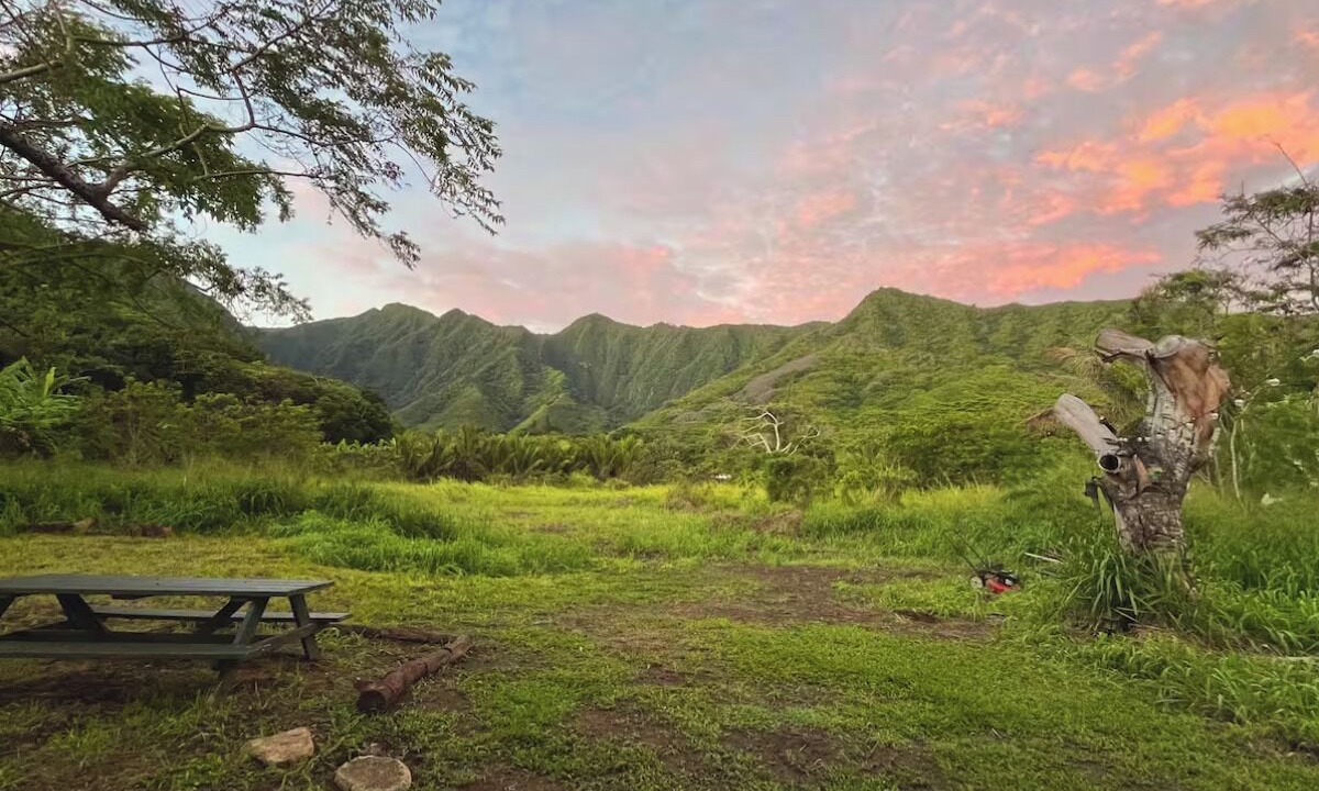 Photo of Outdoor in Punaluu