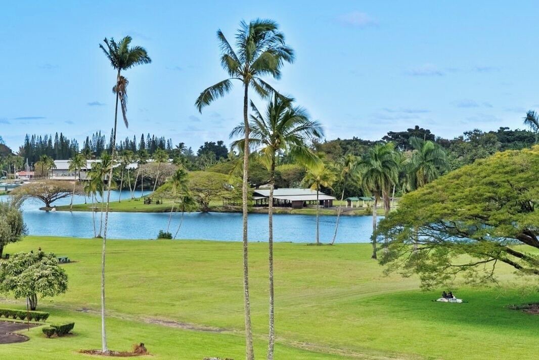 Photo of Others in Hilo