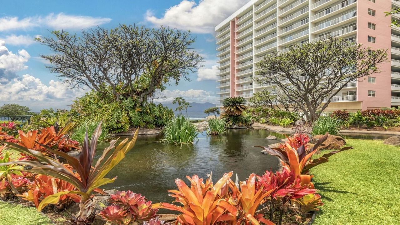 Photo of Outdoor in Honokowai