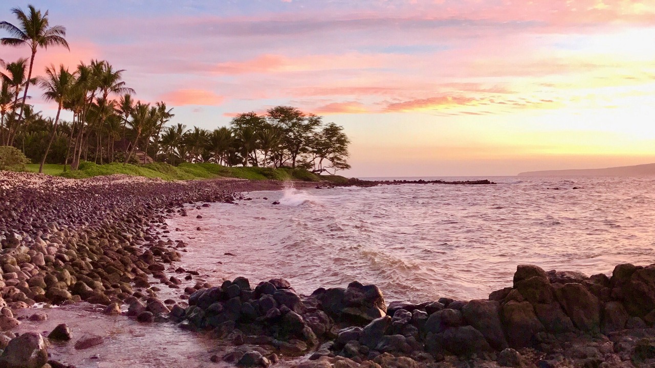 Photo of Others in Wailea