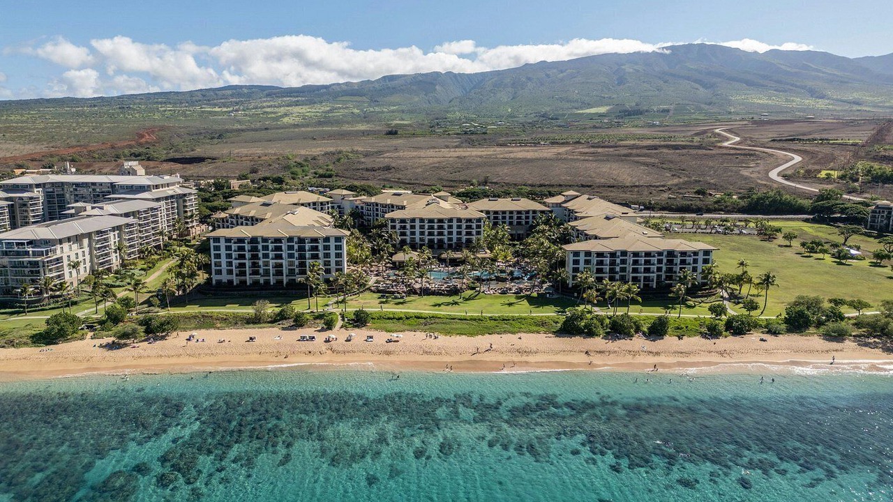 Photo of Others in Lahaina