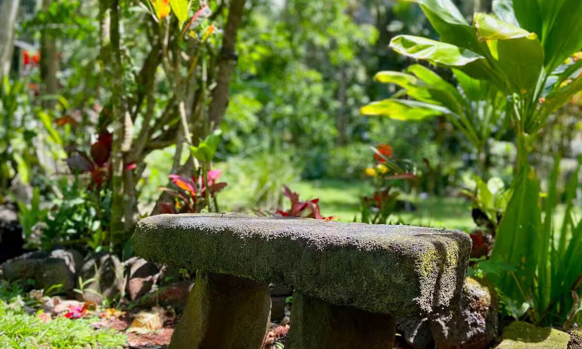 Photo of Outdoor in Pahoa