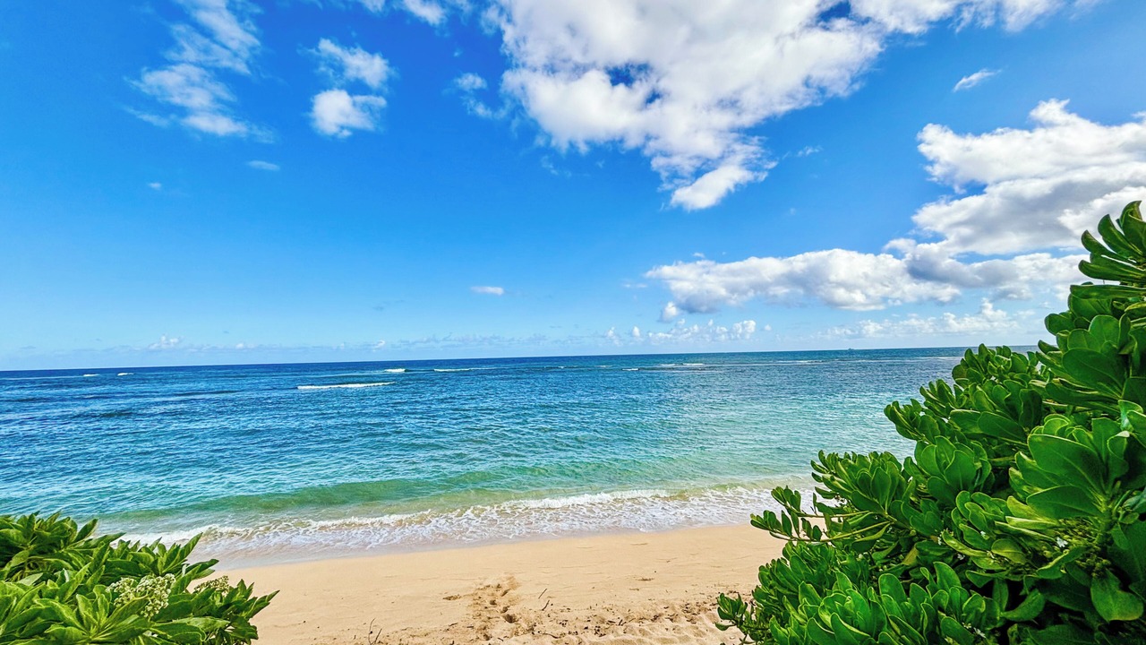 Photo of Others in Mokuleia
