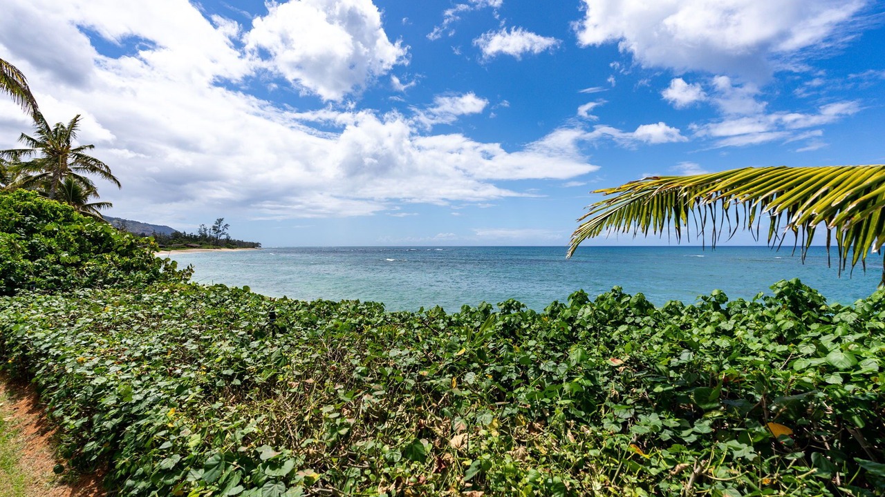 Photo of Others in Mokuleia