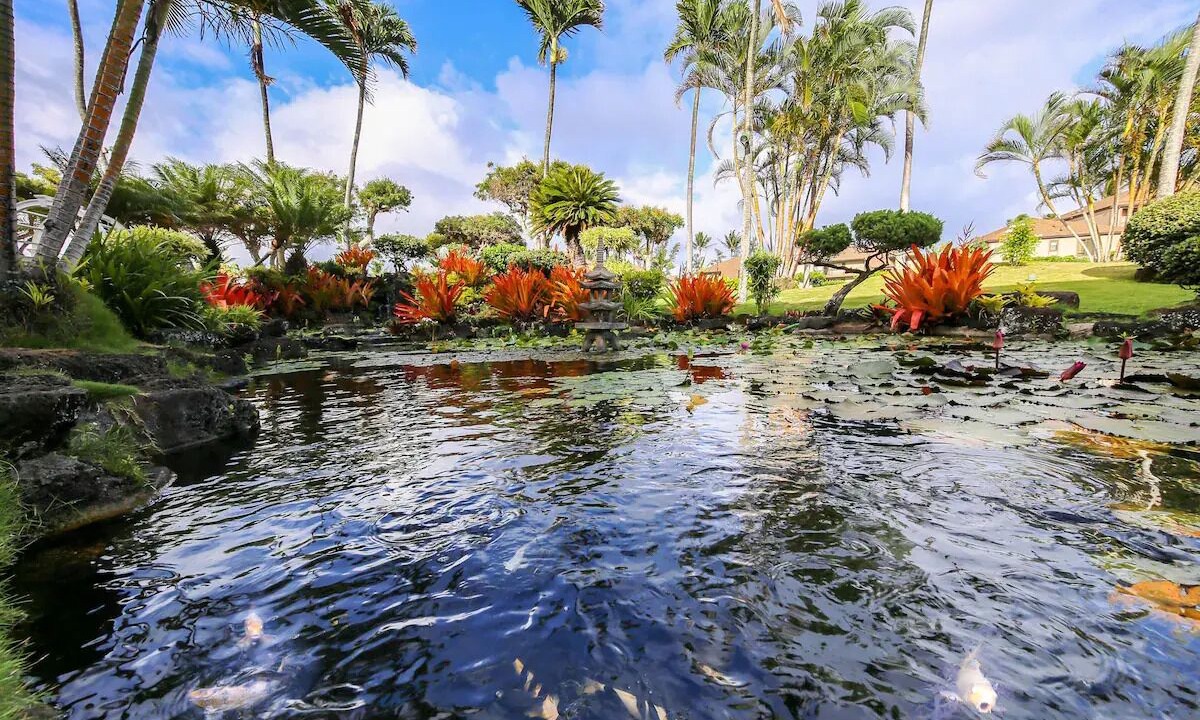 Photo of Outdoor in Kapaa